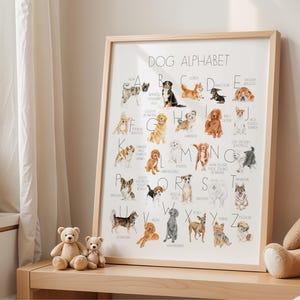 Dog Alphabet Print, Dog Nursery Decor, Dog Playroom Decor, Dog Breed Alphabet, Dog Alphabet Poster, Dog Lover Nursery, Dog Lover Kids Gift