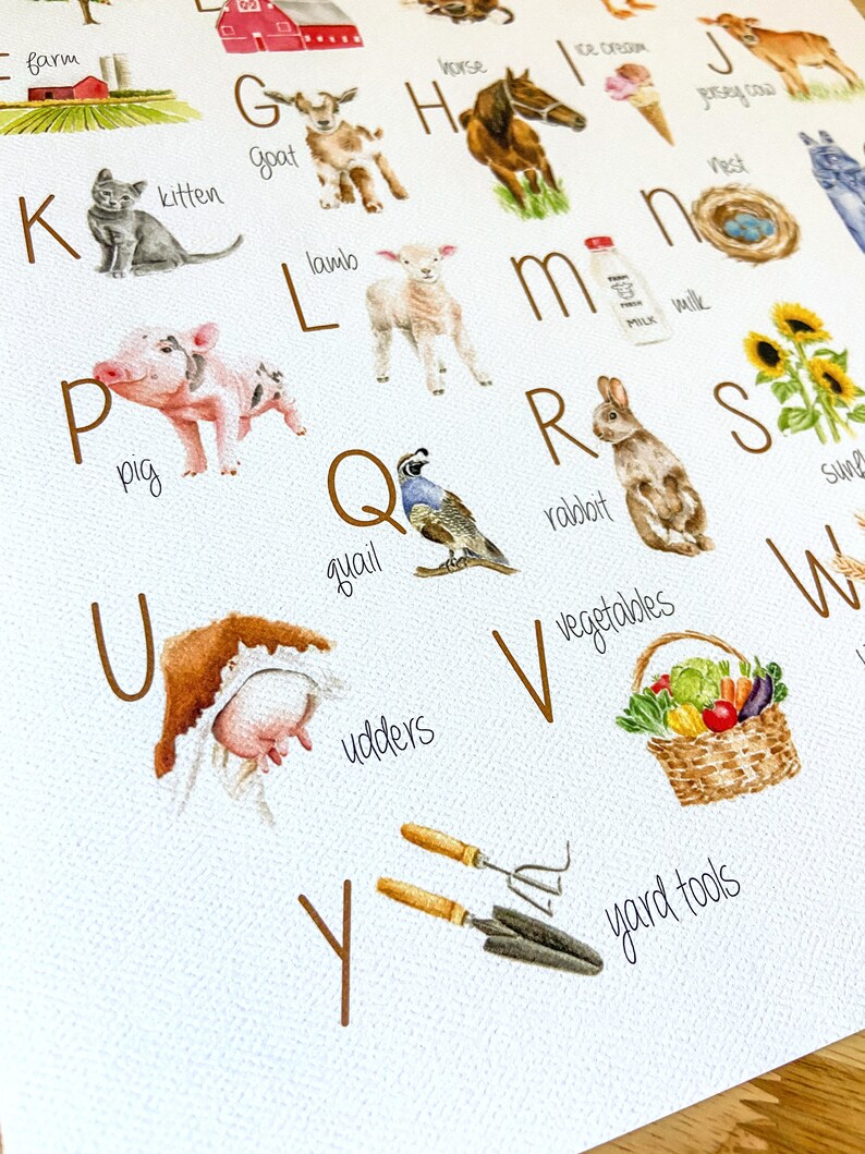 Pu&ograve; includere: Un grafico dell'alfabeto colorato con illustrazioni di animali da fattoria e oggetti. Le lettere sono marroni e le parole sono scritte in corsivo marrone. Le illustrazioni sono in stile acquerello. Le lettere sono dalla A alla Y.