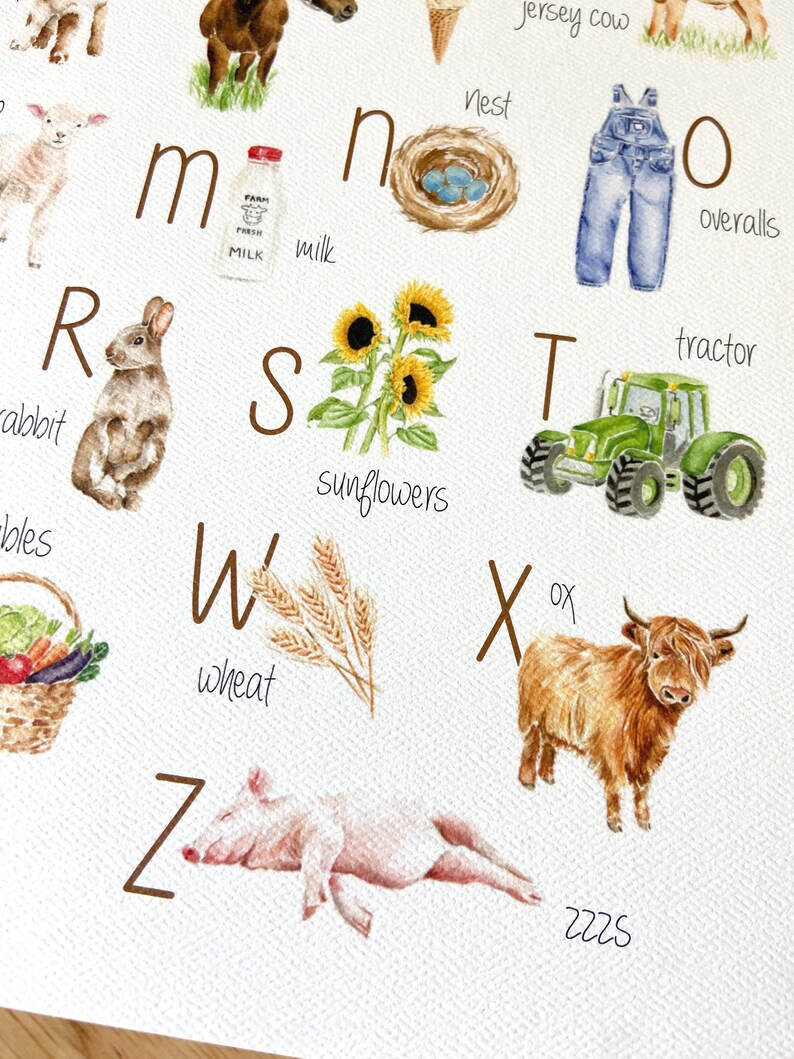 Pu&ograve; includere: Un grafico dell'alfabeto con illustrazioni di animali da fattoria, piante e oggetti. Le lettere sono marroni e le illustrazioni sono in stile acquerello. Le lettere sono M, N, R, S, T, W, X e Z. Le illustrazioni includono una mucca, un nido, un coniglio, girasoli, un trattore, grano, un bue e un maiale.