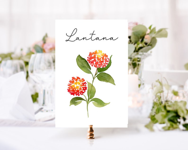 Floral Wedding Table Numbers, Watercolor Flower Table Cards, Wildflower Table Names, Wildflower Wedding Decor, Spring Wedding Decor image 3