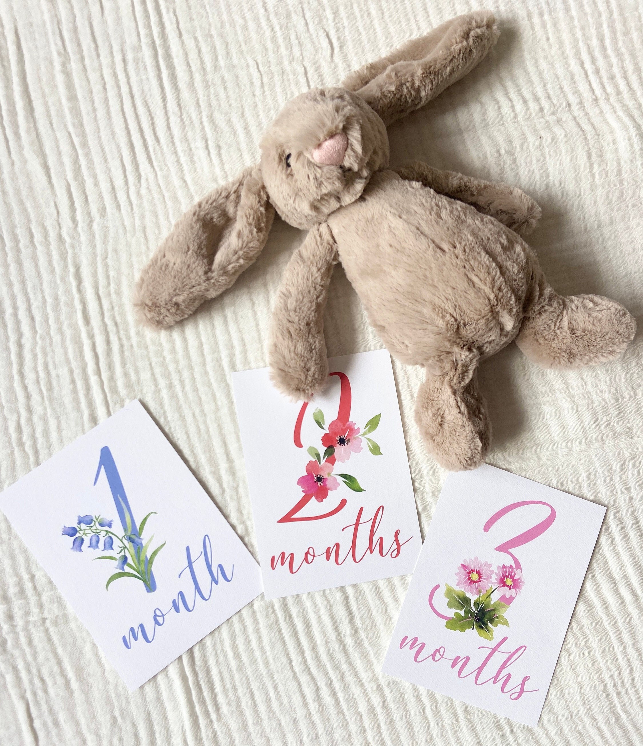 Baby Girl Milestone Cards, Watercolor Baby Month Cards, Floral ...