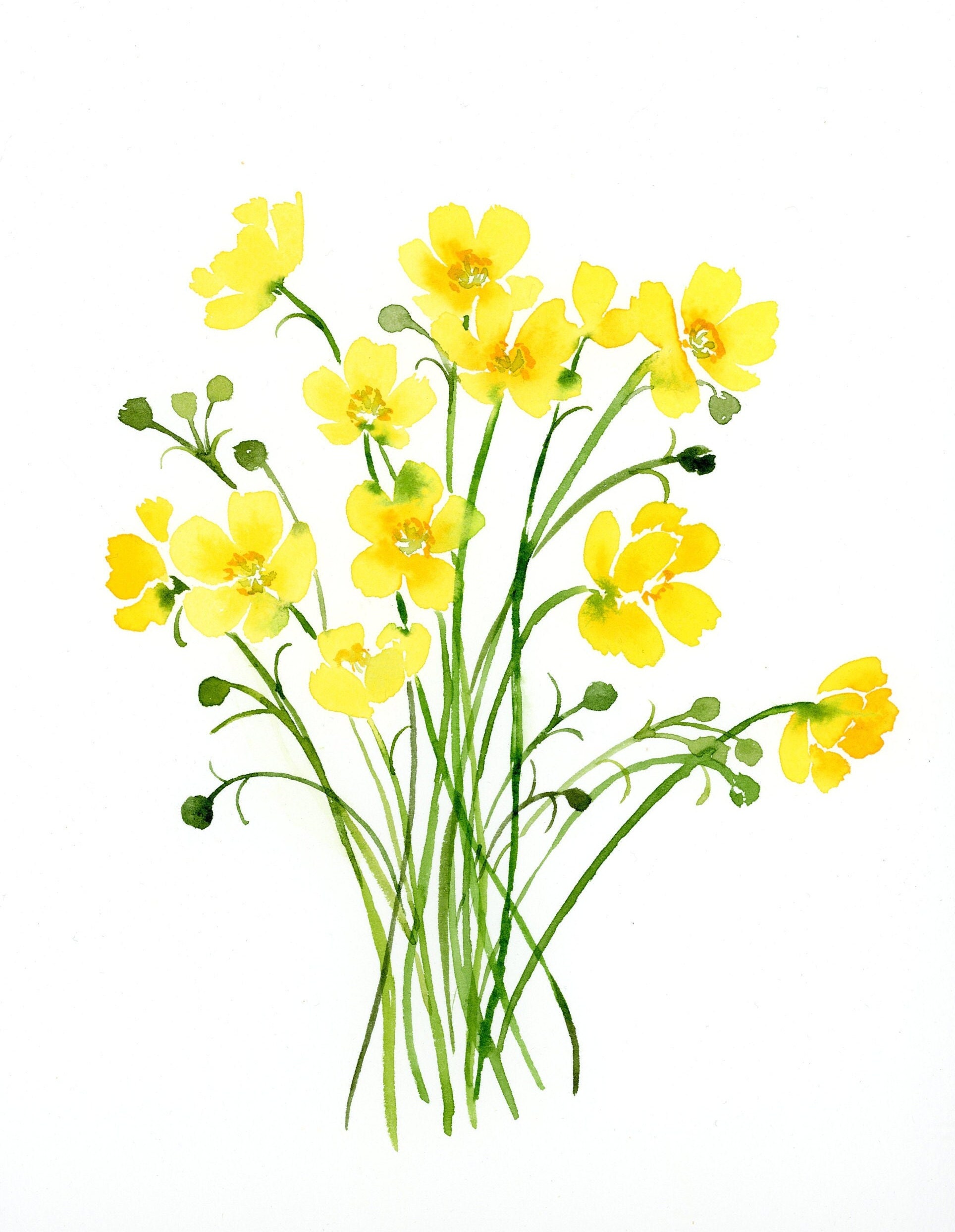 Buttercup Flowers Watercolor Print Yellow Nursery Decor Baby Girl