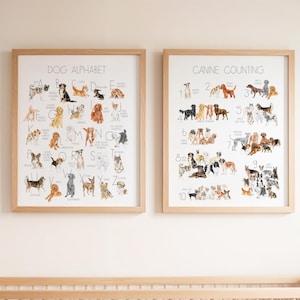 Dog Nursery Decor, Dog Alphabet, Counting Print, Watercolor Dog Art, Homeschool Posters, Dog Classroom Art, Teacher Gift, Dog Lover Gift
