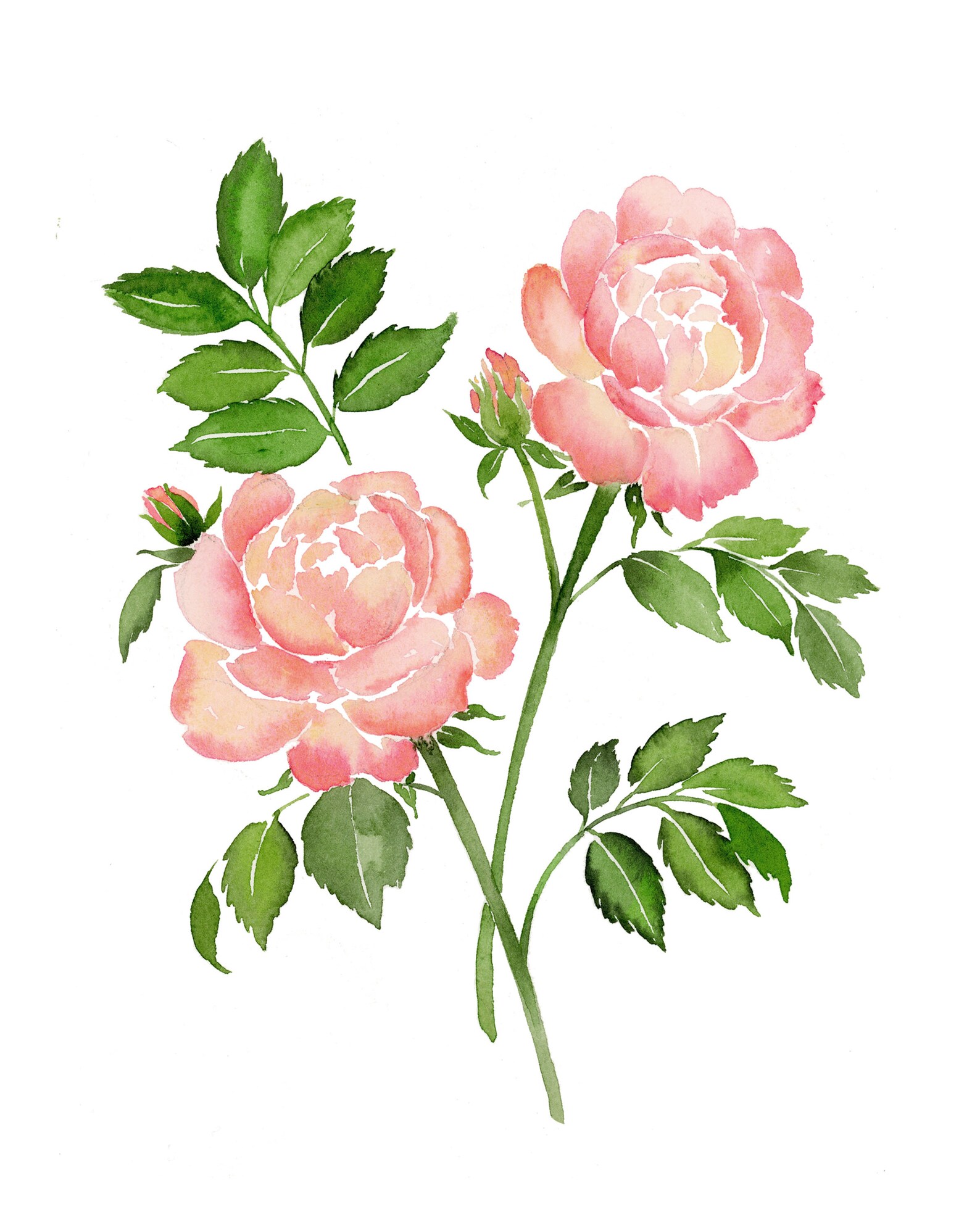 June Birth Flower Print Personalized June Birth Flower Art Etsy