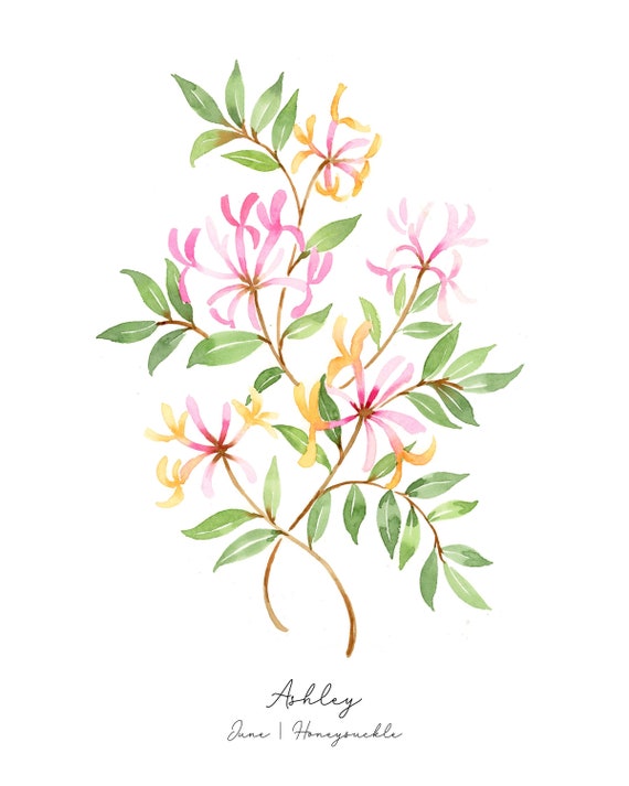 Honeysuckle June Birth Flower ubicaciondepersonas.cdmx.gob.mx