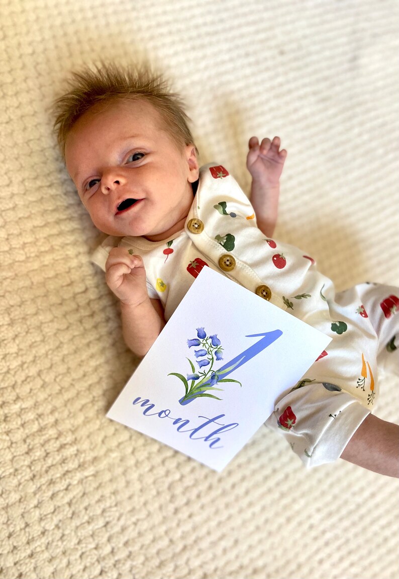 Baby Girl Milestone Cards, Watercolor Baby Month Cards, Floral ...