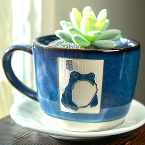 May include: A deep blue ceramic mug with a white base and a handle, featuring a rectangular silver-toned plaque with a dark blue frog illustration and a small red stamp. A green succulent plant sits inside the mug, which rests on a white saucer.
