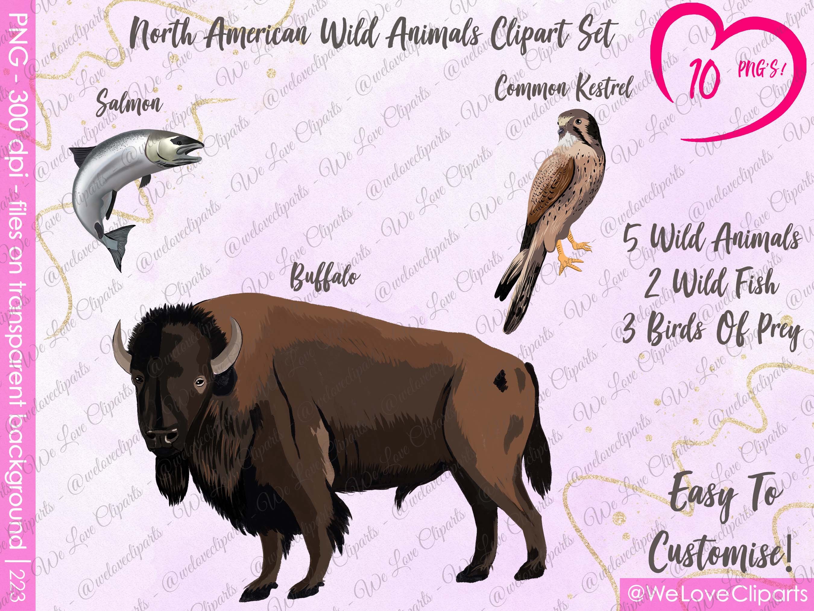 Wild Animals Clipart: North American Wild Animals SVG for Best - Etsy Wild Animals Clipart: North American Wild Animals SVG for Best - Etsy