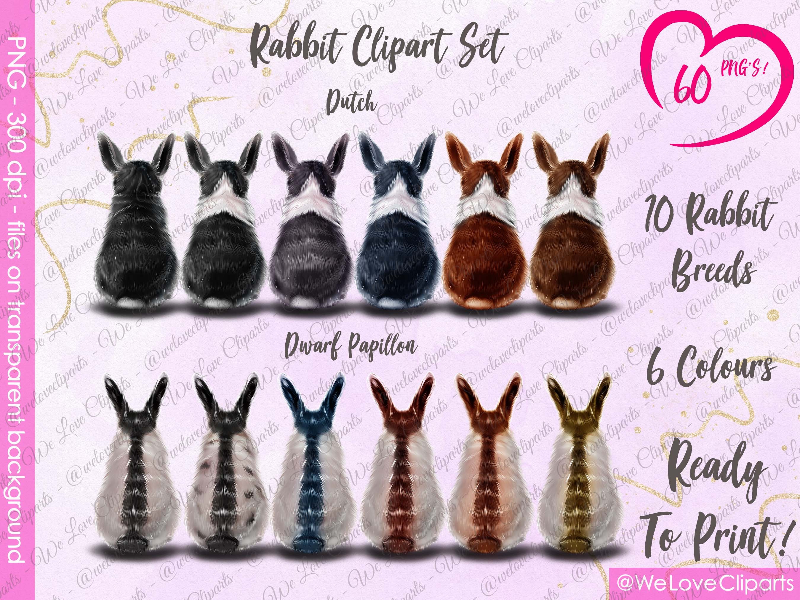 Rabbit clipart with bunny png and rabbit png Animal Clipart WLC278