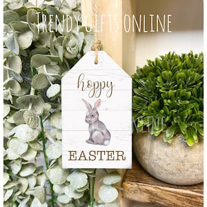 Peut inclure: Une étiquette en bois sur le thème de Pâques avec une illustration d'un lapin gris et l'inscription "hoppy EASTER". Une ficelle de jute est attachée pour suspendre l'étiquette. Le fond présente de la verdure et une petite plante en pot.