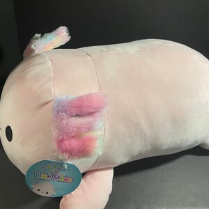 24 archie squishmallow