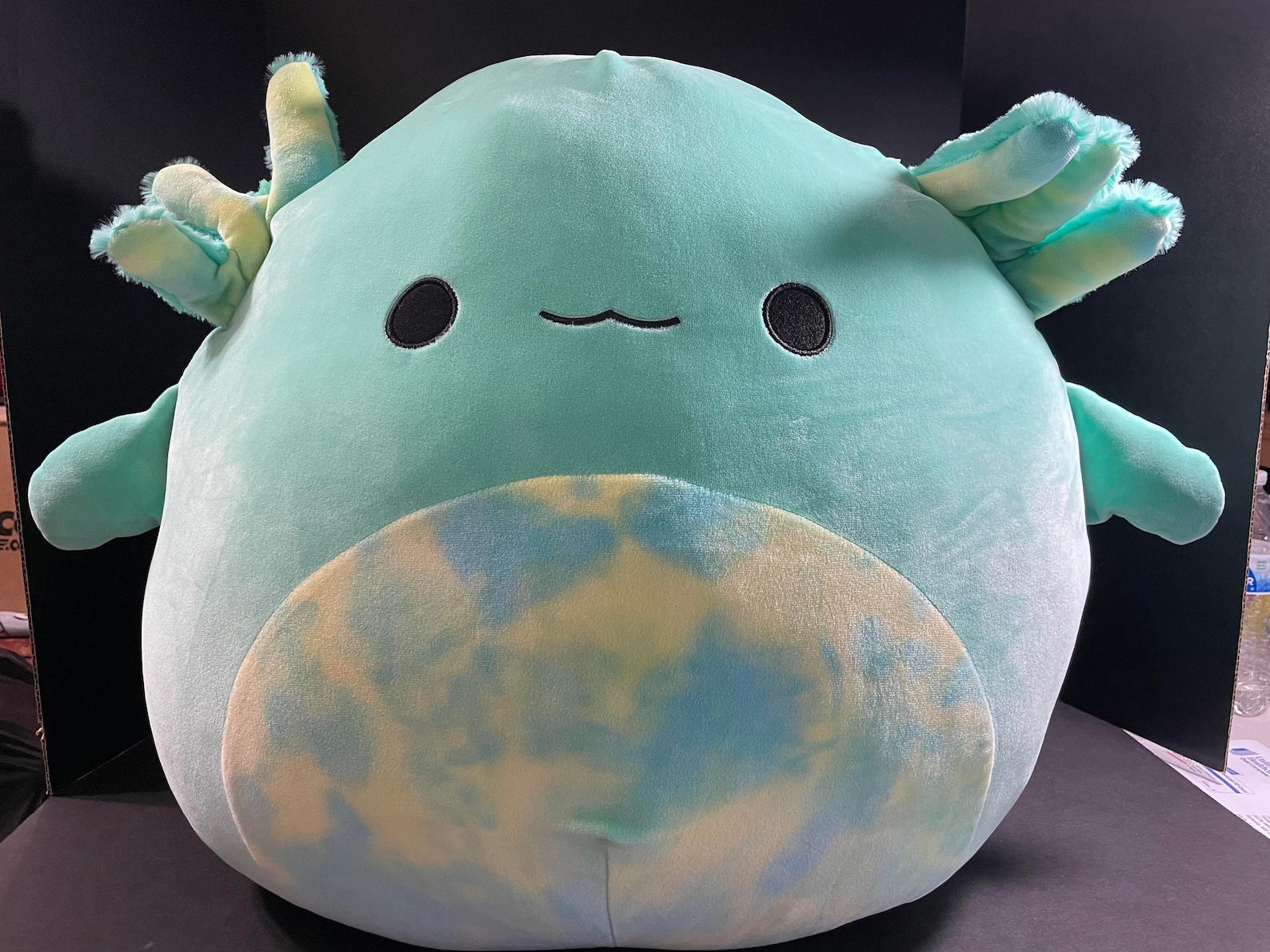 Squishmallow 20 Anastasia the Axolotl New Release HTF Etsy