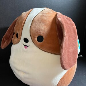 10 Tyree Beagle squishmallow 