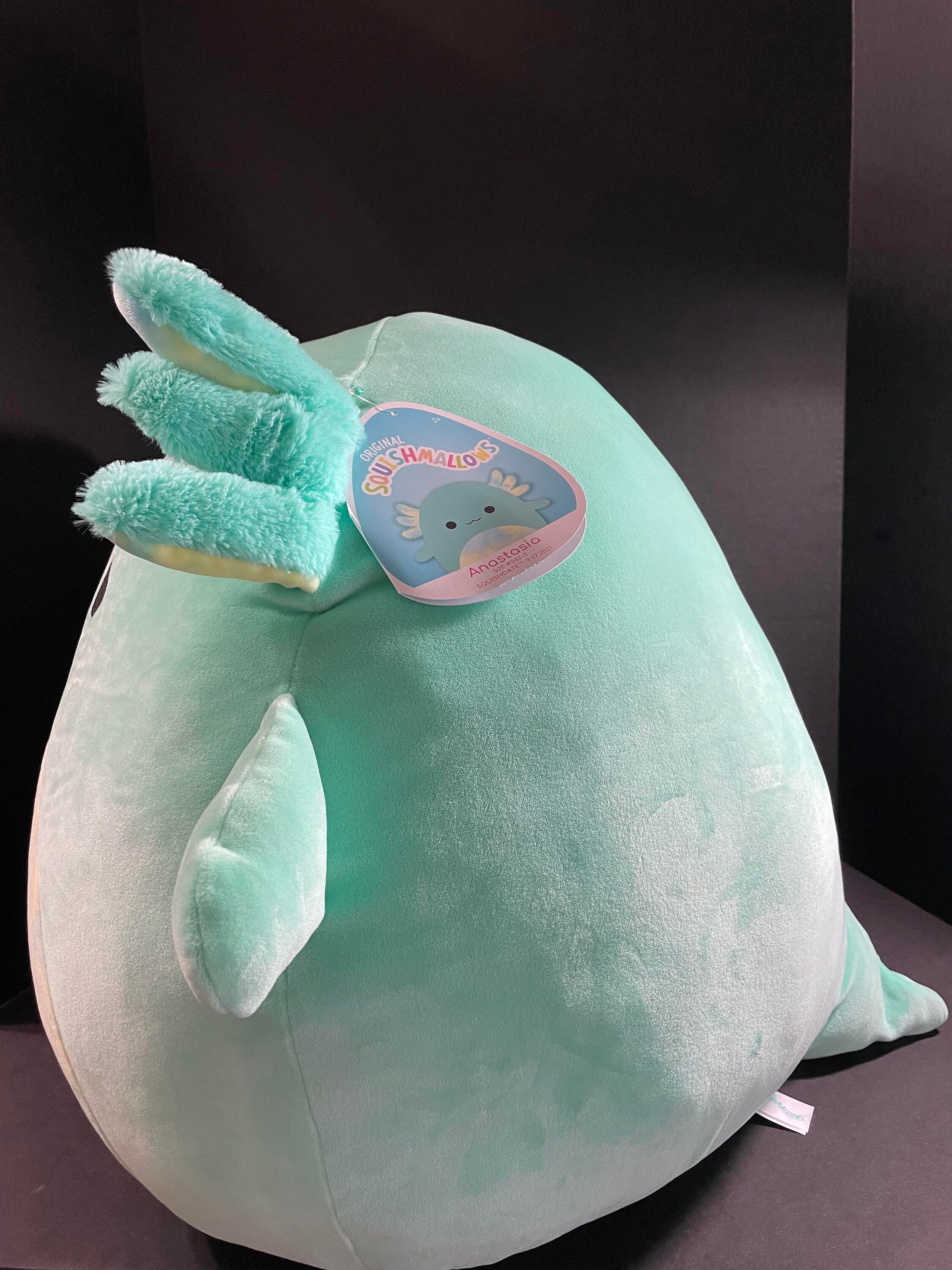 Squishmallow 20 Anastasia the Axolotl New Release HTF Etsy