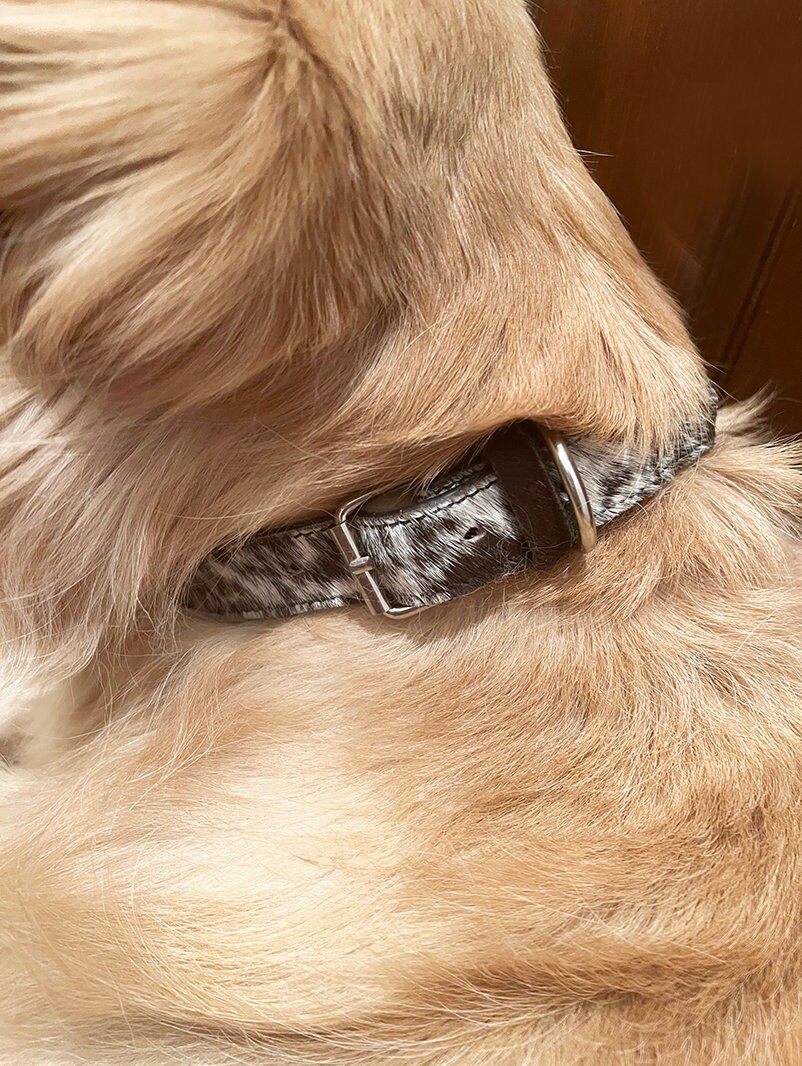 Bonanza Leathers Real Cowhide Leather Pet Collar Dog/ Cat Etsy