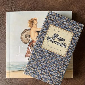 The pagan otherworlds tarot - Etsy 日本