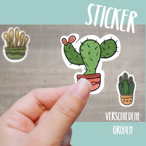 Foglio adesivo adesivo adesivo cactus succulente