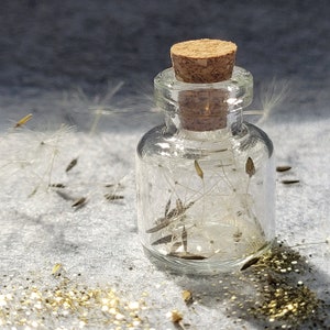 real dandelion in a bottle