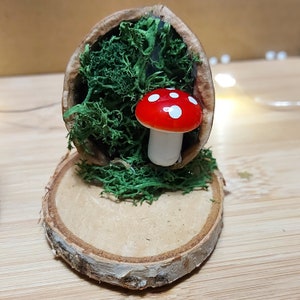 Könnte beinhalten: Eine Miniatur-Figur eines roten und weißen Pilzes sitzt in einer ausgehöhlten Walnussschale, die mit grünem Moos gefüllt ist. Die Schale steht auf einem runden Holzsockel.