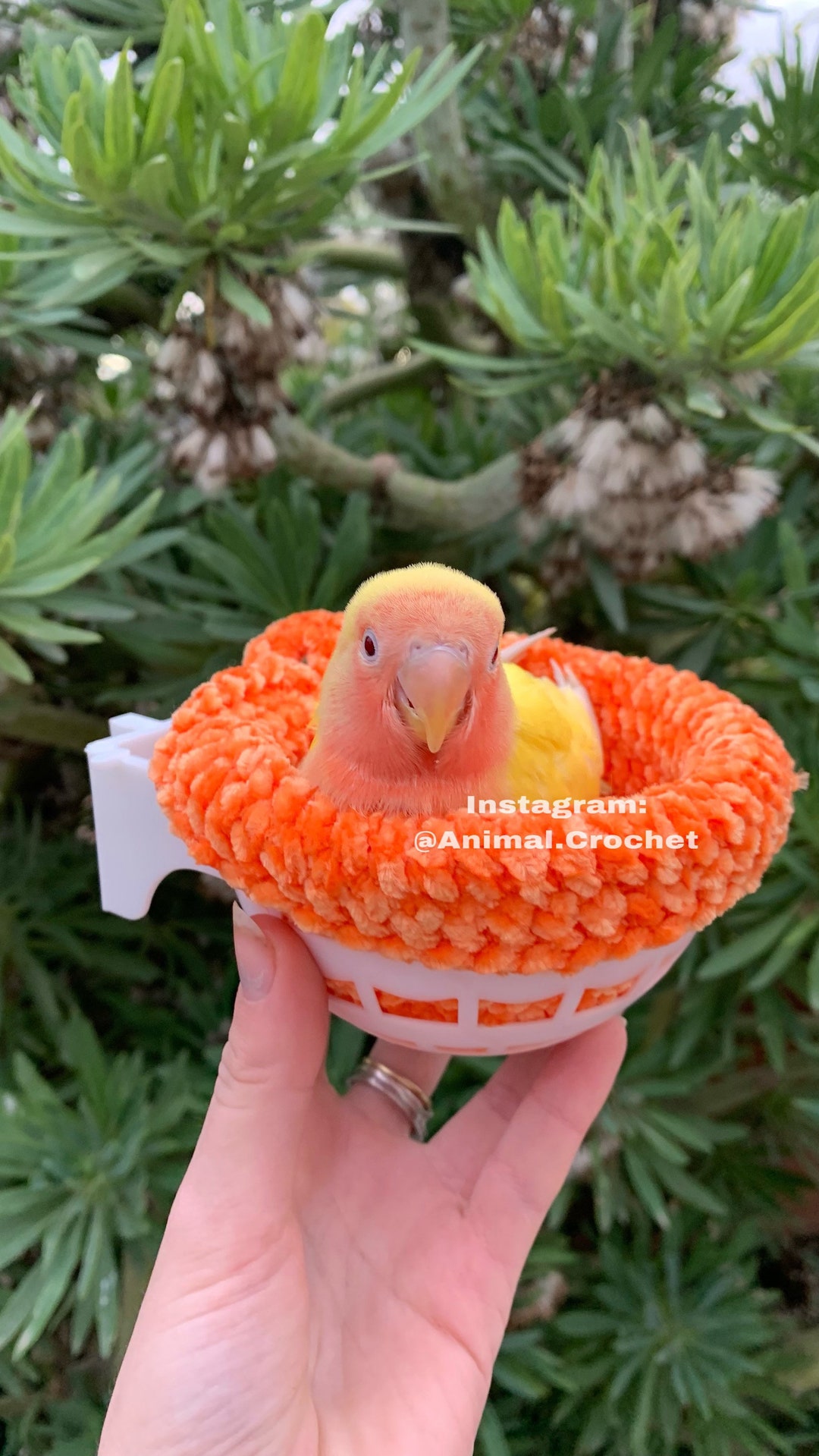bed-and-stand-for-small-birds-cage-decoration-for-lovebirds-canaries