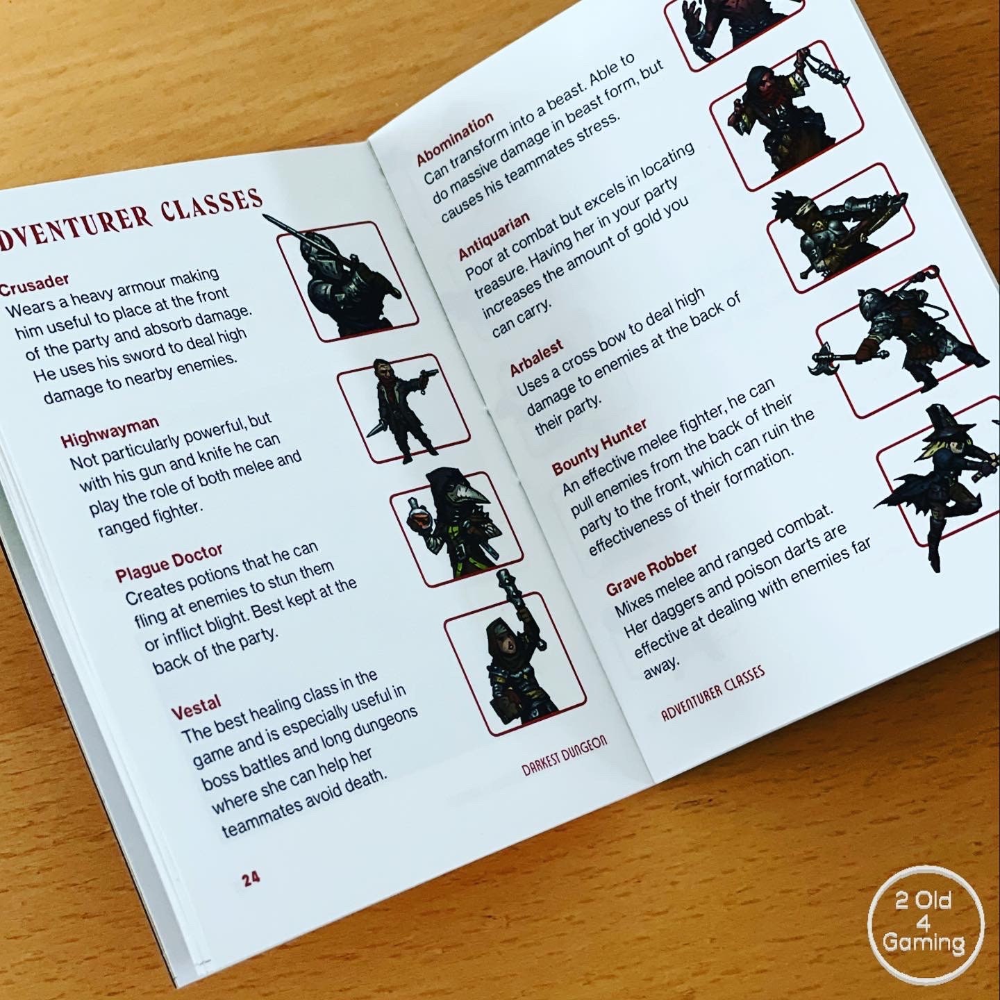 Darkest Dungeon Psvita and Nintendo Switch Instruction Manual | Etsy