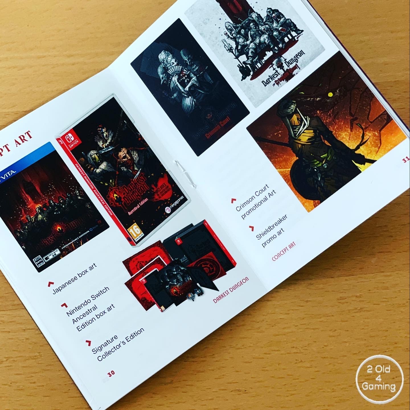 Darkest Dungeon Psvita and Nintendo Switch Instruction Manual | Etsy