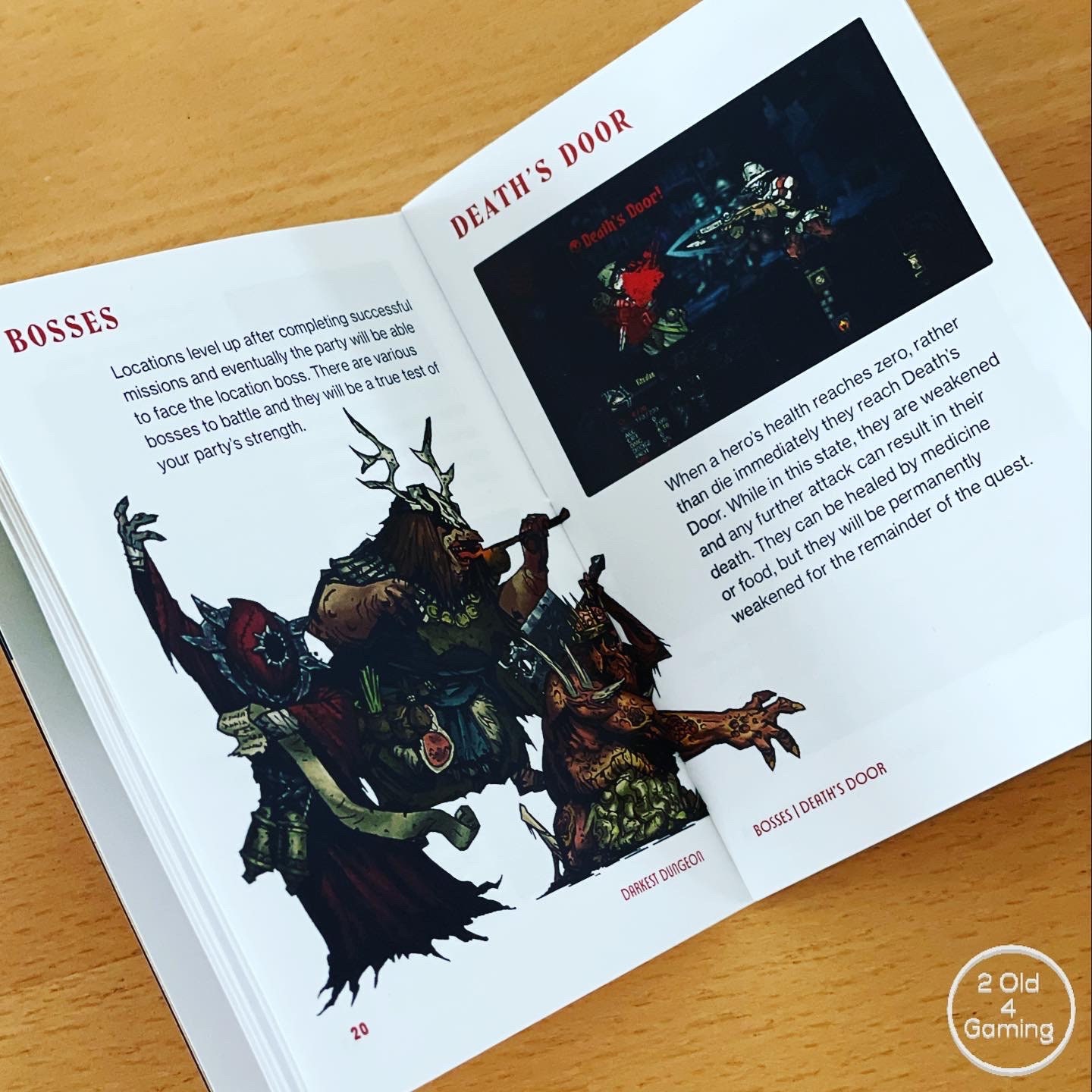 Darkest Dungeon Psvita and Nintendo Switch Instruction Manual | Etsy