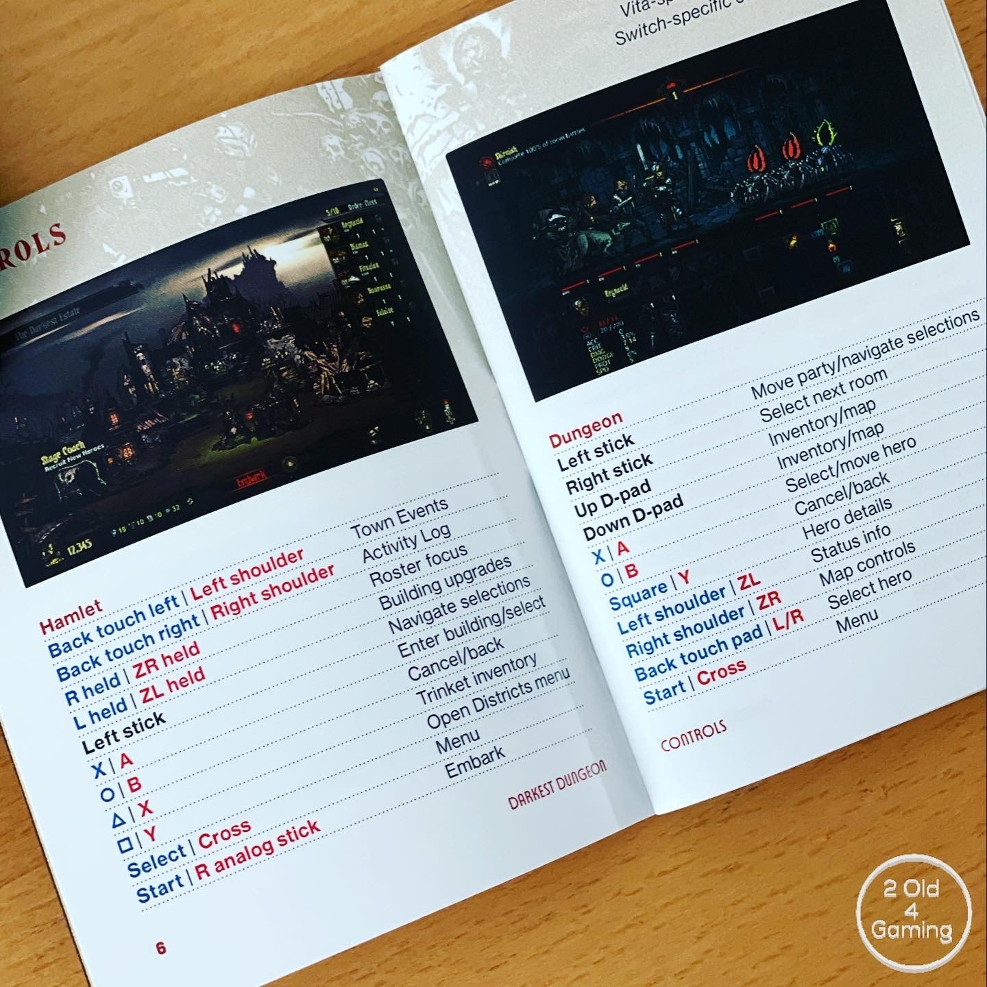 Darkest Dungeon Psvita and Nintendo Switch Instruction Manual | Etsy