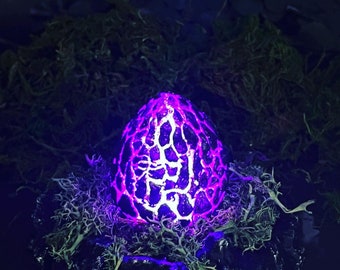 Ark Survival Evolved Inspired Rock Drake Egg & Nest
