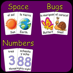 May include: Educational flashcards with the themes of space, bugs, and numbers. The space cards show the sun and earth. The bug cards show a butterfly and a snail. The number cards display the number 388.