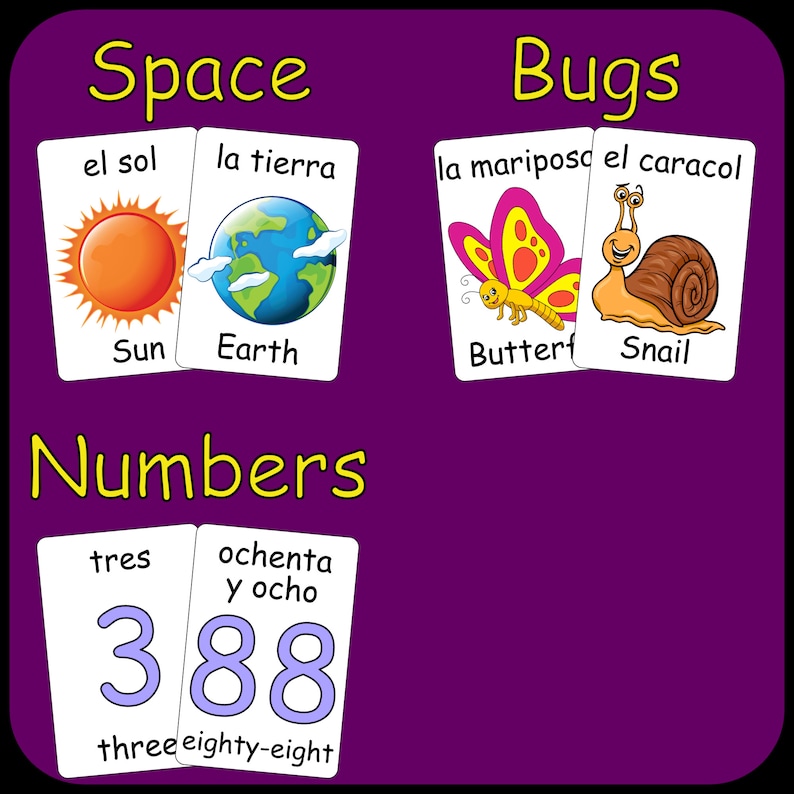 May include: Educational flashcards with the themes of space, bugs, and numbers. The space cards show the sun and earth. The bug cards show a butterfly and a snail. The number cards display the number 388.