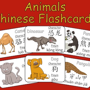 Mandarin Chinese Animals Flashcards - 101 Animal Vocabulary flash cards with English, Chinese Character, Pinyin - Great for all ages & HSK