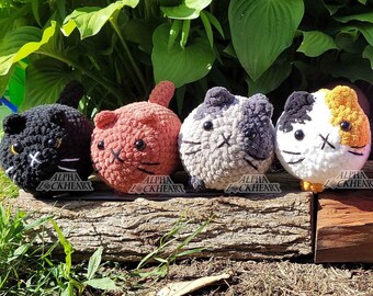 Chonky Cats