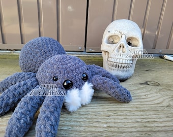 Spider Buddy