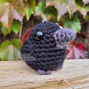 May include: A handmade, black crochet creature with a gray beak and feet, and a large black eye. The product is sitting on a wooden surface, with green and red leaves in the background. The text "ALPHA LOCKHEART" is visible on the product.