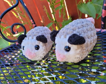 Baby Opossum