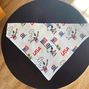 Over the collar pet bandana