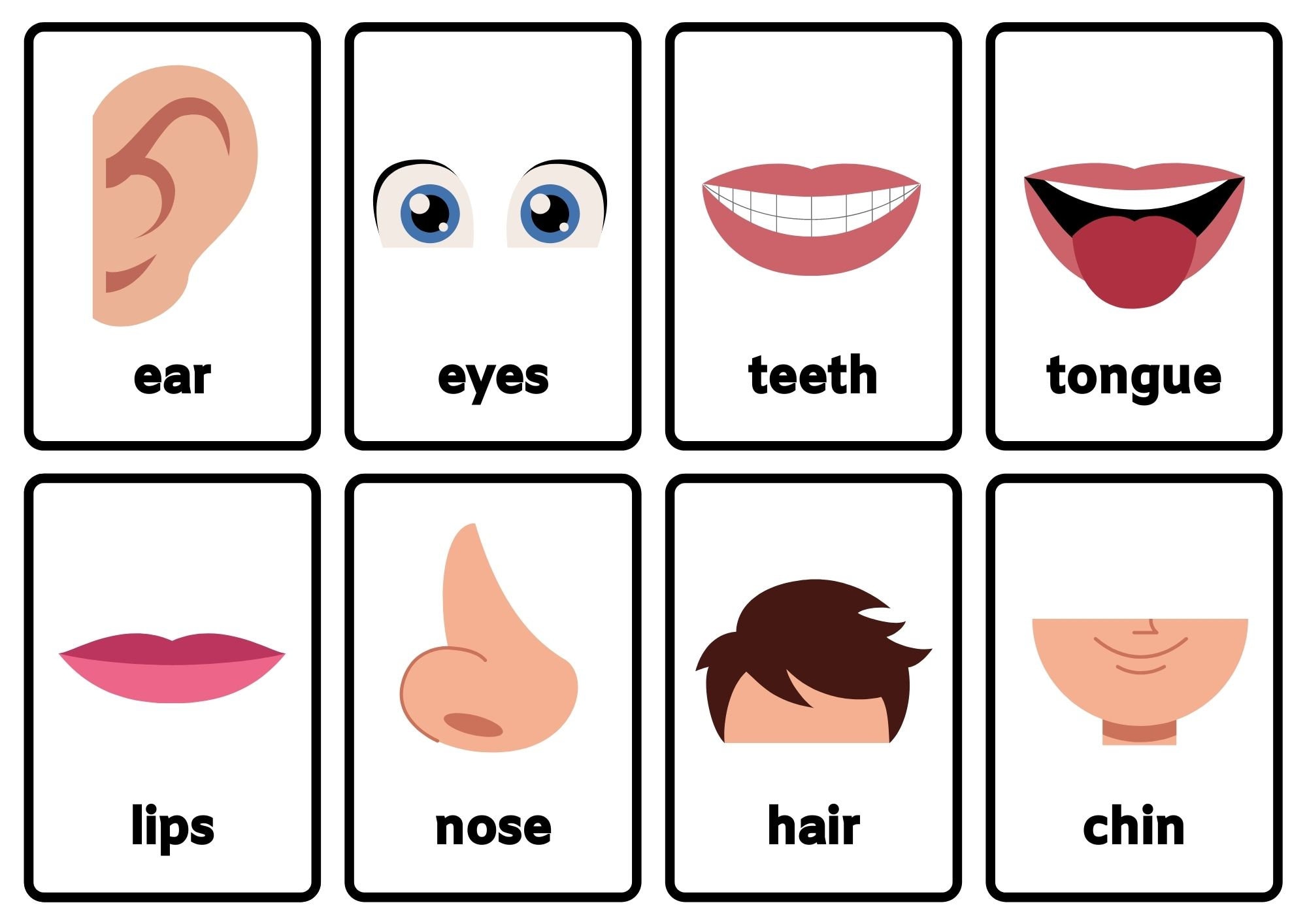 Human Body Parts Clipart