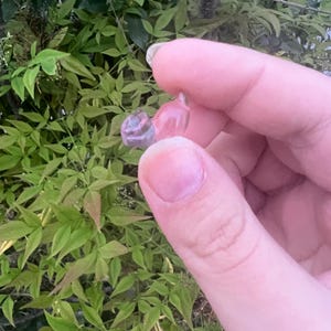 cat mini fluorite crystal