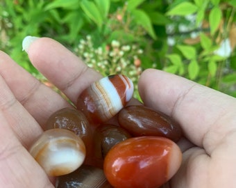 Puede incluir: Un puñado de piedras de ágata pulidas en tonos marrones, naranjas y blancos. Las piedras tienen una forma lisa y redondeada y muestran patrones de bandas naturales. El fondo presenta follaje verde.