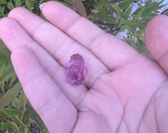 seahorse animal mini fluorite mini crystal carving