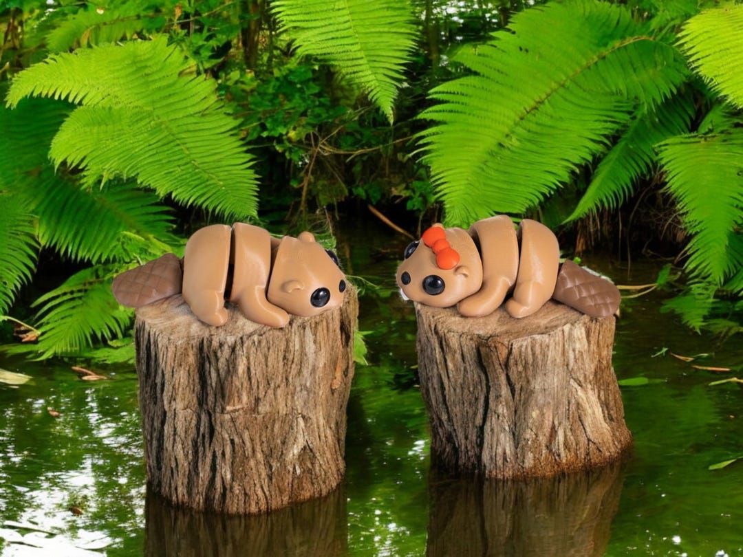 Articulated Baby Beaver Fidget Toy: 3D Printed Desk Buddy - Etsy UK