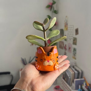 May include: A small orange and black ceramic planter shaped like a cat's face with pink ears and paws. A small green succulent plant is growing in the planter.