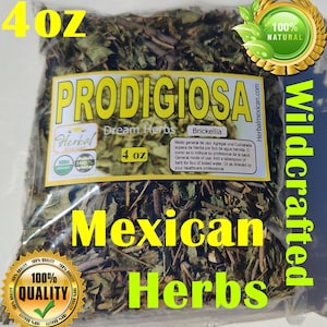 cathedral bells  Prodigiosa Hierba Te Brickelia Organic Prodijiosa leaf Dream Herbs Hierba amula 4oz !!!!!!