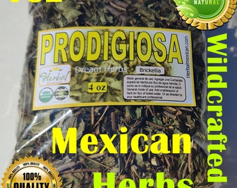 cathedral bells  Prodigiosa Hierba Te Brickelia Organic Prodijiosa leaf Dream Herbs Hierba amula 4oz !!!!!!