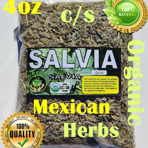 Salvia Divinorum Seeds - Etsy
