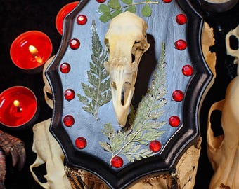 Gothic Chicken Skull Wall Plaque – Bedazzled Witchcore Decor