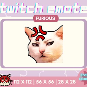 x1 White Cat Meme Emote | Cat Emote | Youtube | Cute Emotes | Twitch Assets | Cool | Kawaii