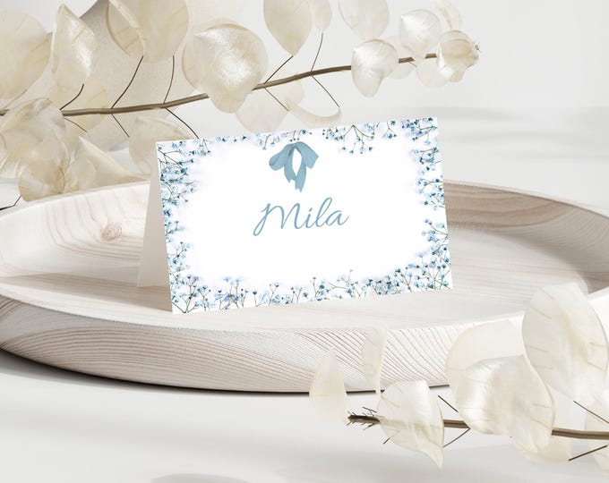 Blue Baby Breath Place cards