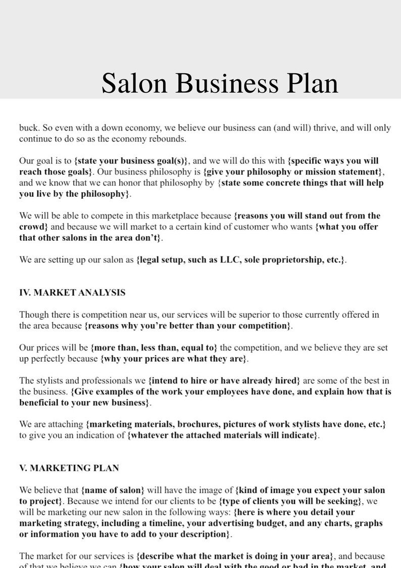 Salon Business Plan Hair Salon Business Plan Etsy